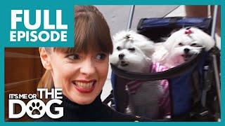 Extreme Puppy Pampering Gone Wrong! | Full Episode | It's Me or The Dog