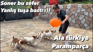 JACKRUSSEL ÇETESİ KÖPEK UZMANI SONER’i PARAMPARÇA ETTİ