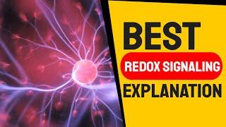 Best 15 Minutes Explanation on Redox Signaling by Dr Gary Samuelson