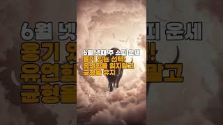 [골목점집 운세]  소띠 6월 4주차 주간운세｜ ‘The Chariot’와 함께하는 의지 가이드 #띠별운세 #오늘의운세 #월간운세 #주간운세 #타로운세 #사주풀이 #신점운세