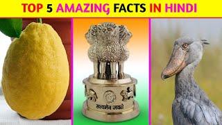 Top 5 Amazing Facts In Hindi | Mind Blowing Facts | Random Facts | Facts In Hindi | #shorts