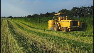 Hanffaser Uckermark eG