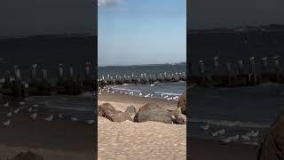 Beach Cold Days