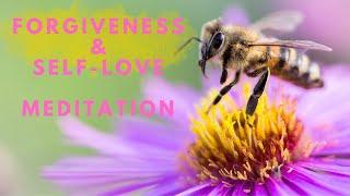 Self-Love & Forgiveness | 5-Min Guided Meditation Inspired by the Wisdom of the Bee