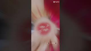 #$hort #video #eidmubarak #mycutepari #zainy