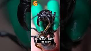 손에 총맞기 vs 평생 어린애로 살기