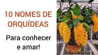 10 Nomes de Orquídeas(GUIA NA DESCRIÇÃO DO VIDEO)