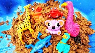 Animal Toy & Sand Fun | Find Toys in Sand & Learn Animal Names: Flamingo Chameleon Gecko