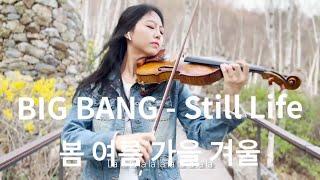 빅뱅 BIGBANG - '봄여름가을겨울 (Still Life)' [바이올린 커버 Violin Cover]