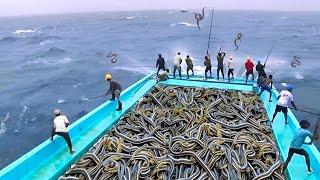 Fishing Boat Discovers Something Terrifying in the Sea That Shocks the Whole World!