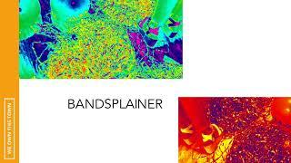 Bandsplainer: Animal Collective with Patty Greer (S1E4)