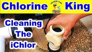 Pentair iChlor Salt Cell Cleaning - Chlorine King Pool Service