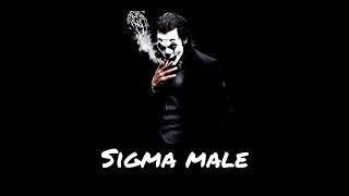 SIGMA MALE RINGTONE| ATTITUDE RINGTONE||#viralvideo #trendingvideo #sigma @aryanlegendhai