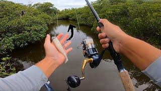 GROUPER Fishing the Mangroves