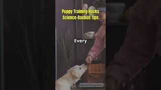 Puppy Training Hacks Science Backed Tip!