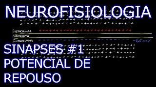 Aula: Neurofisiologia - Sinapses #1 - Potencial de Repouso | Neurofisiologia Humana