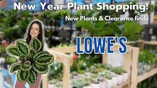 Come Plant Shopping with me in the New Year at LOWE'S Big Box Store!