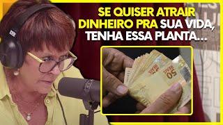 NÃO TENHA ESSAS PLANTAS EM SUA CASA - MARCIA SENSITIVA | PodcatsDelas Cortes