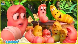 LARVA SEASON 3 EPISODE 99 ~ 205 / LARVA NEW VERSION 2025 - LARVA CARTOON MOVIES | FUNNY CLIP 2025