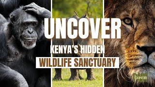 Kenya's Hidden Wildlife Sanctuary | PART 1 #JourneyToOlpejeta #olpejetaconservancy