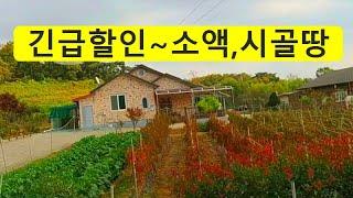 너무나싼,시골집터,땡처리~헐값처분합니다~경매직전,시골집,전원주택,농막,주말농장,텃밭,싼땅,토지,건물,펜션,민박집,농막주택,시골땅,급매물부동산 매매,라이프칸