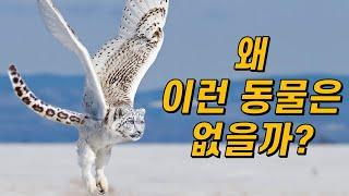 불가능한 진화!｜왜 바퀴 달린 동물, 날개 달린 유인원은 없을까?