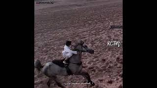 طاح من فوق الخيل  عزتي له  #خيل #حصان #خيال