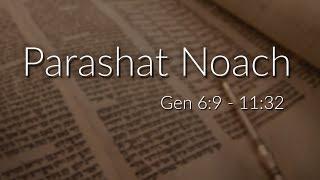 Messianic Parashat:  Noach