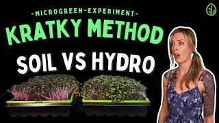 Kratky Method: SOIL vs HYDROPONICS for Microgreens