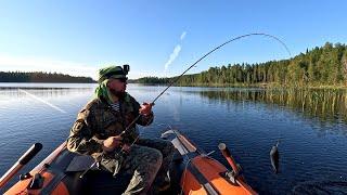 ОБАЛДЕННАЯ РЫБАЛКА В ДИЧАЙШЕМ КРАЮ. РЫБАЛКА НА ЛЕСНОМ НЕТРОНУТОМ ОЗЕРЕ. СУПЕР БОТИНКИ ДЛЯ ВСЕГО.