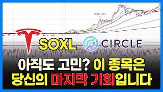 아직도 고민? 이 종목은 당신의 마지막 기회입니다. 테슬라 SOXL 서클 애플...