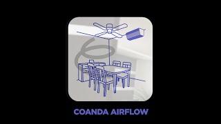 Daikin | Optimum comfort with Coanda Airflow