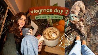 VLOGMAS DAY 2: Getting my foster kittens!!