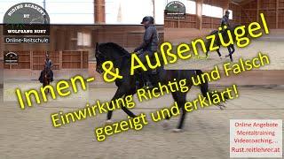 F126 Zügelhilfe beim Reiten: Bedeutung und Einsatz von Innen-& Außenzügel. Häufigste Fehler! Pferde