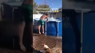 YouTube short funny video...I don't expect corgi with it short leg to jump up