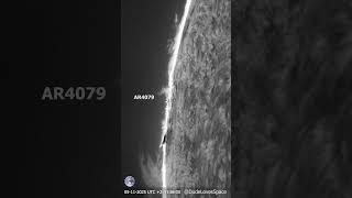Insane Side View of 2025's Biggest Sunspot! (AR4079) Seen Through My Telescope #astronomy #space