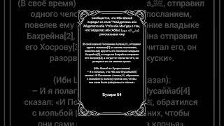 Аль Бухари (64). #бухари #хадисы #ислам