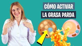 Cómo ACTIVAR la GRASA PARDA para QUEMAR GRASA normal | Activa la grasa parda | Nutrición deportiva