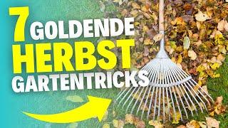 Mit diesen 7 Tricks übersteht dein Garten den Herbst ohne Probleme!