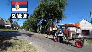 FIRST TIME In Underrated SOMBOR Vojvodina | Very Best Of SERBIA 