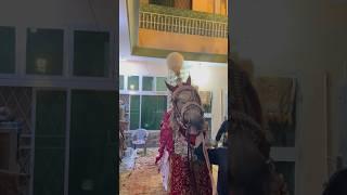 Murtajiz badshah #murtajiz #zuljanah #lahore