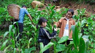 Harvest Vegetables and Squash to Sell at Market, Buy New School Bag for Daughter | Family Farm