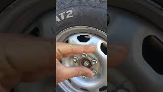 Number one reason why your brakes are Squeeling?
