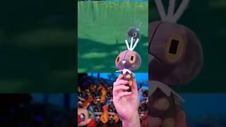 Scatterbug: Part Cockchafer?  #pokemon #pokemonlegendsza