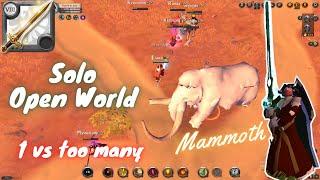 Solo Open World PvP  ️ :[Albion Online]