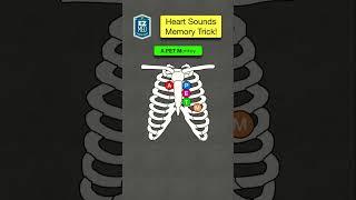  How to Remember Heart Sounds Auscultation [Nursing Assessment - Stethoscope]