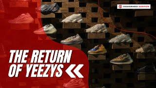 Yeezys Are Back!  What Sites, Bots, and Accounts You Will Need To Cop!