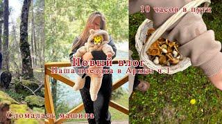 Уехали в Архыз ч.1| 10 часов в пути с малышом в 4 месяца| хожу за грибами