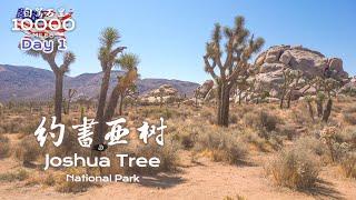 环美自驾一万英里第1天—自驾加州约书亚树国家公园Joshua tree national park California Day 1 Road Trip in USA 4K