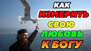 ЭТИ СЛОВА ПРИЯТНО слушать каждый день.